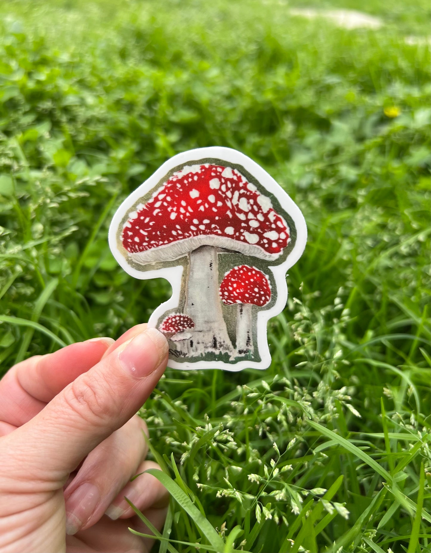 Mini Shroom