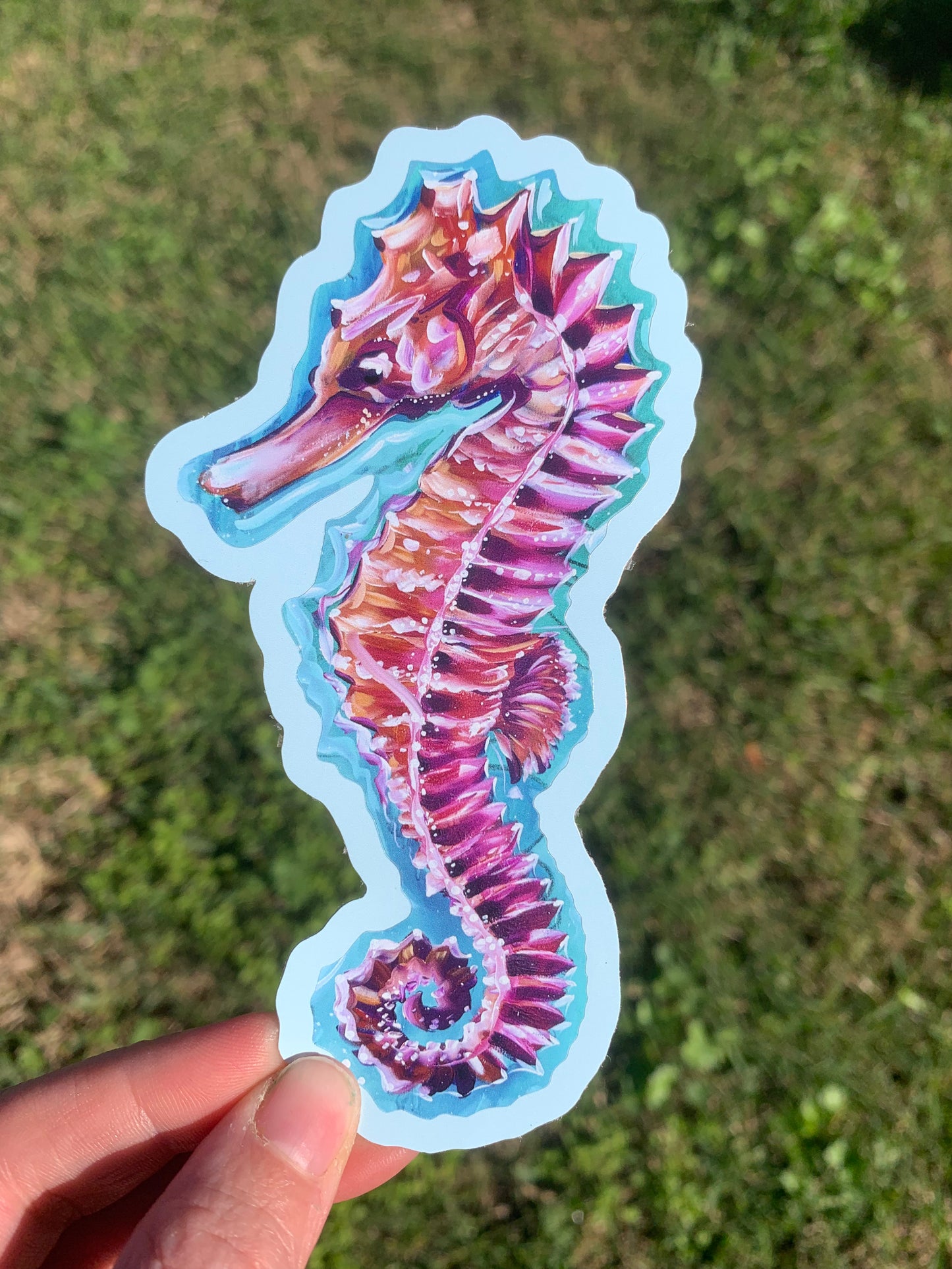 Seahorse Sticker