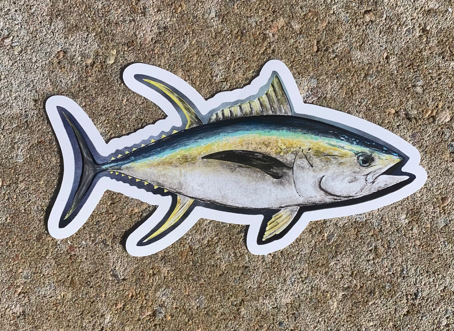 Yellowfin Tuna