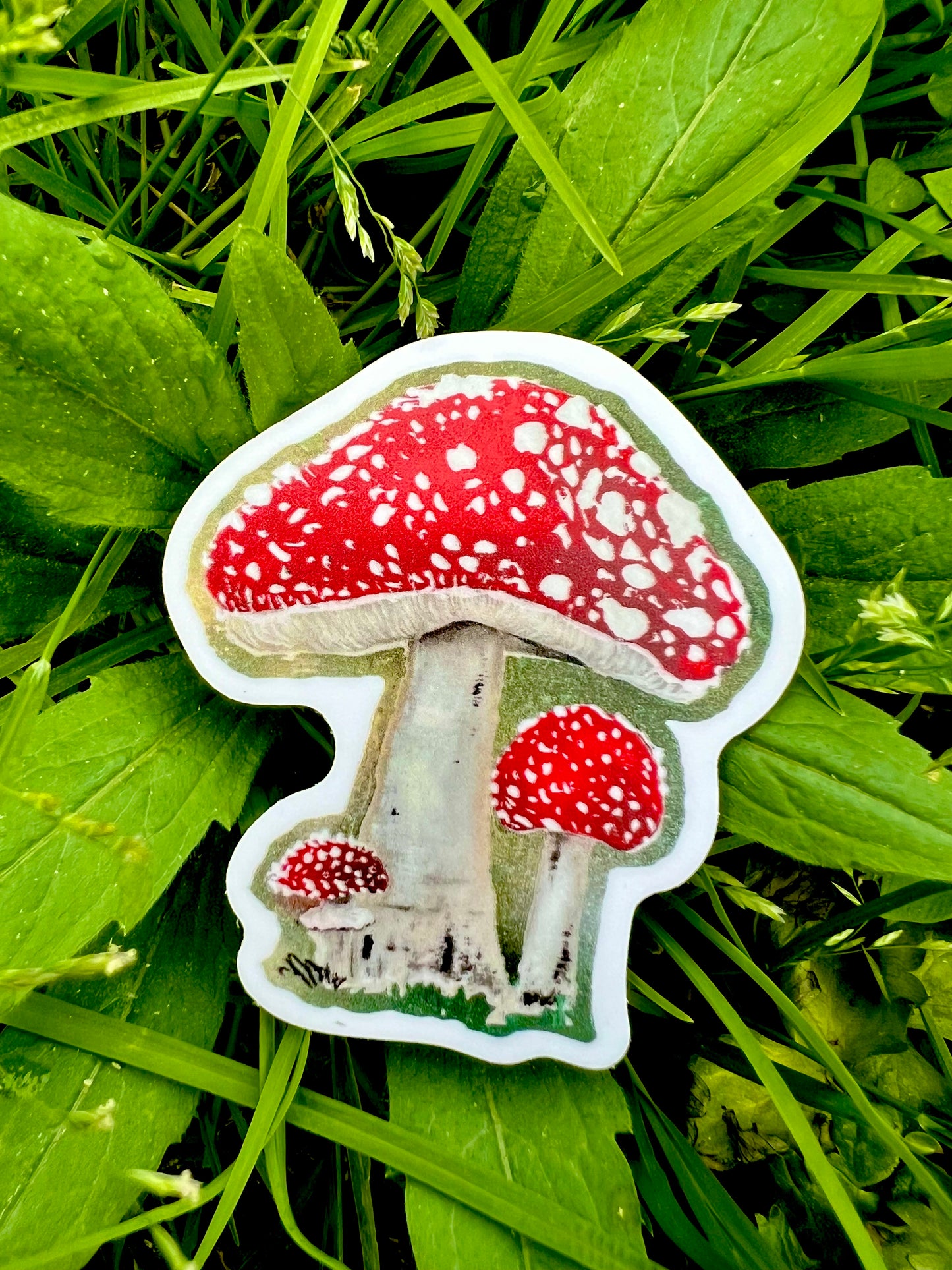 Mini Shroom