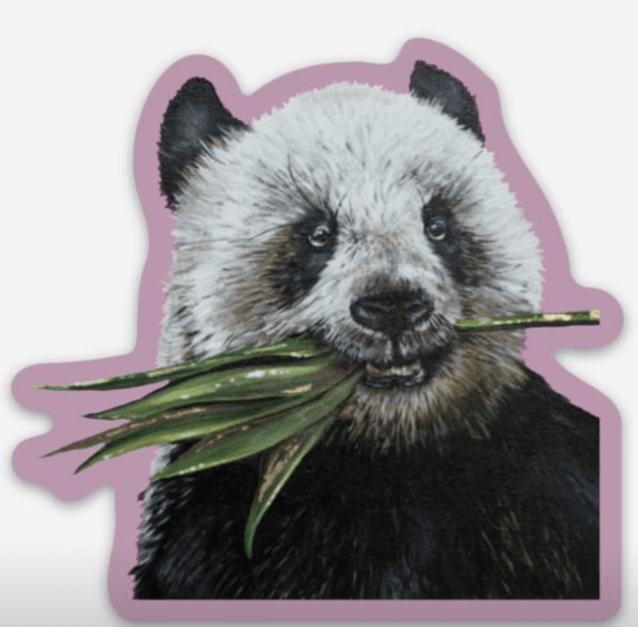 Panda Sticker - Whitney Hayden