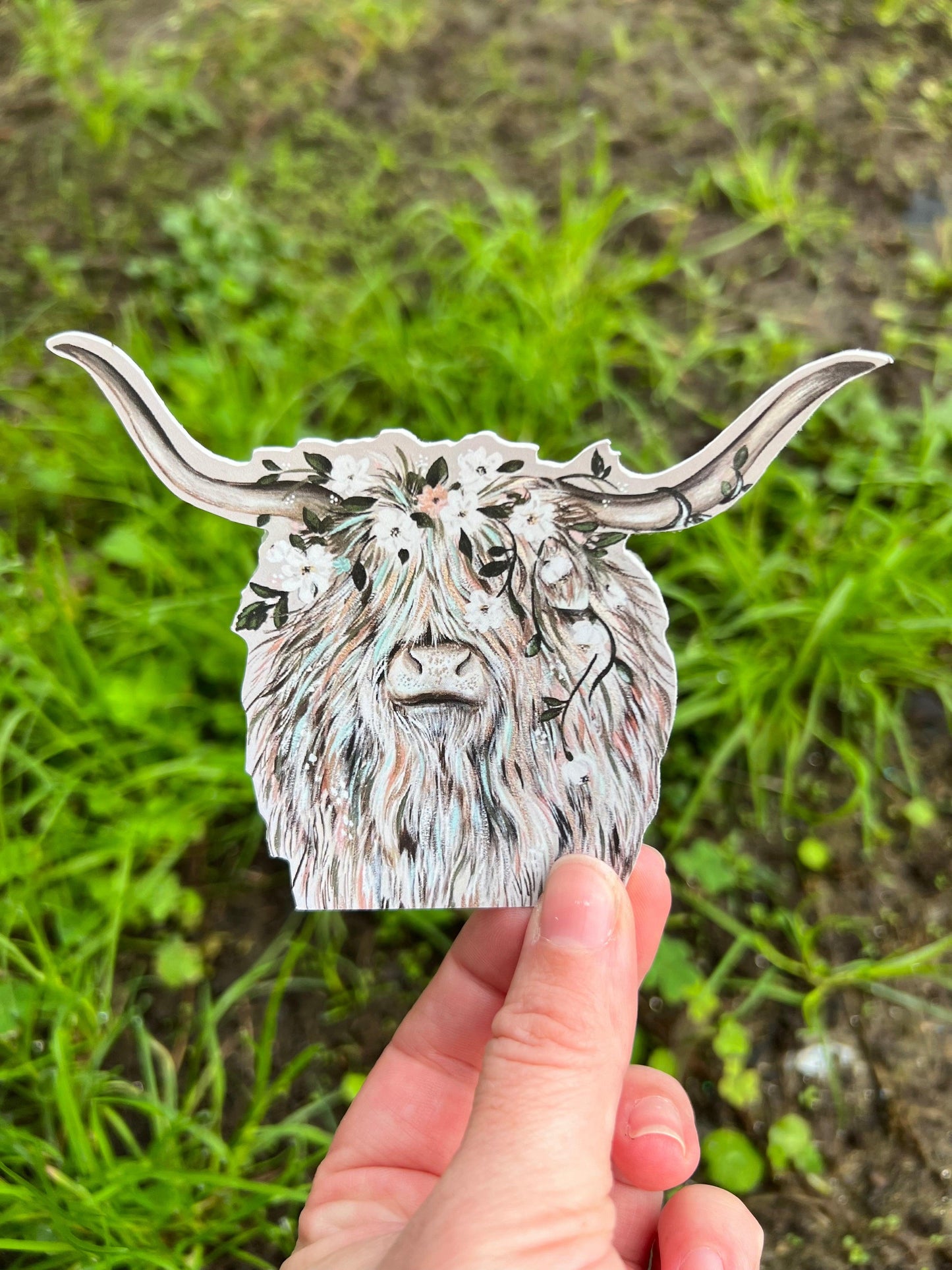Highland Cow Sticker - Whitney Hayden
