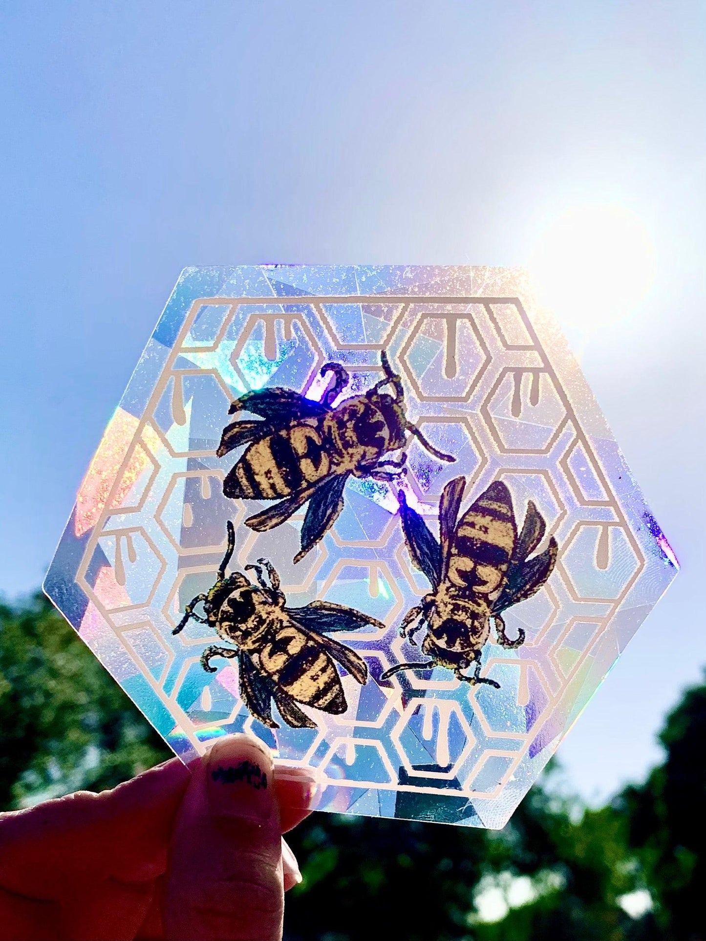 Busy Bees Sun-Catchers - Whitney Hayden