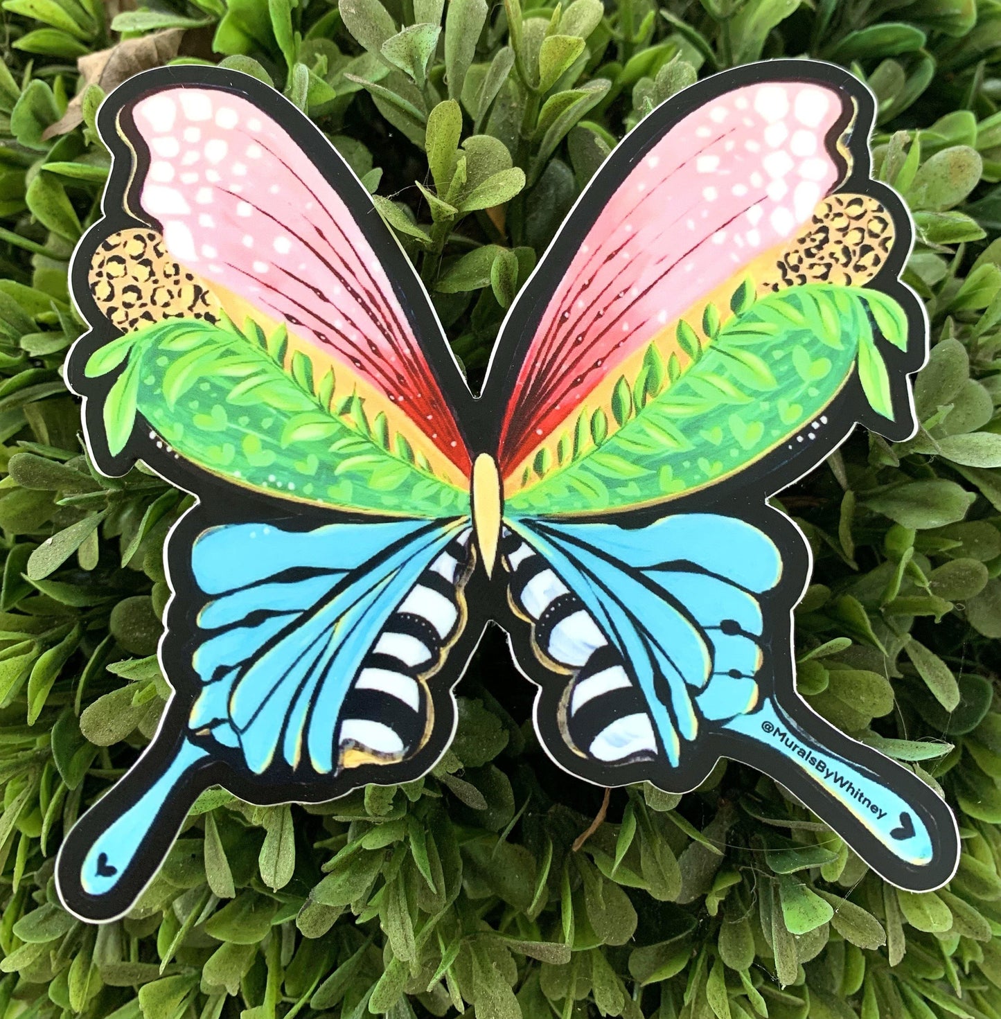 Fly Fearlessly Sticker - Whitney Hayden