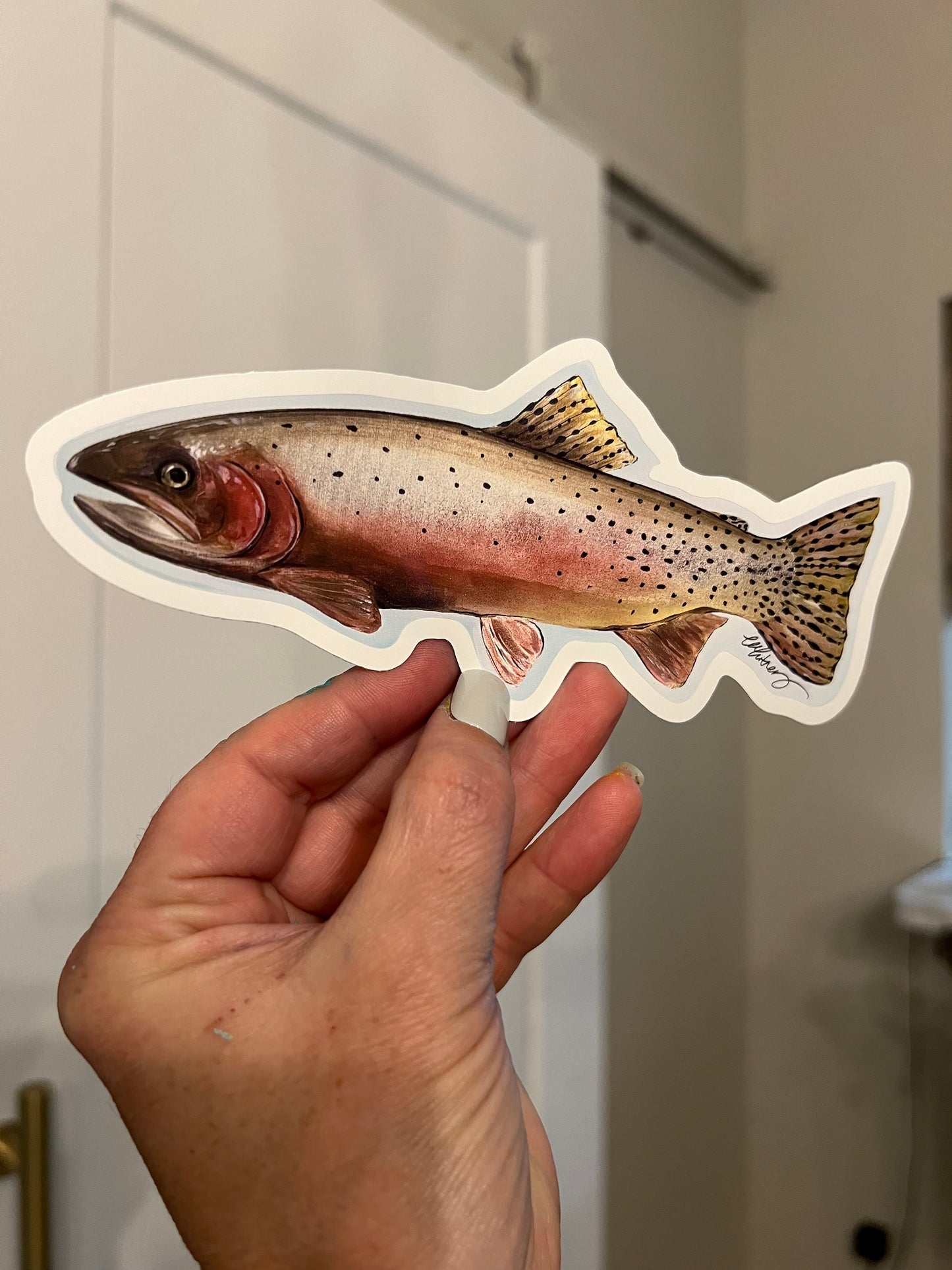 Spawning Cutthroat Trout Sticker