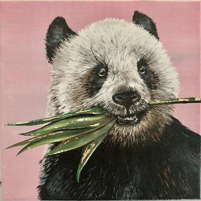Panda - Whitney Hayden