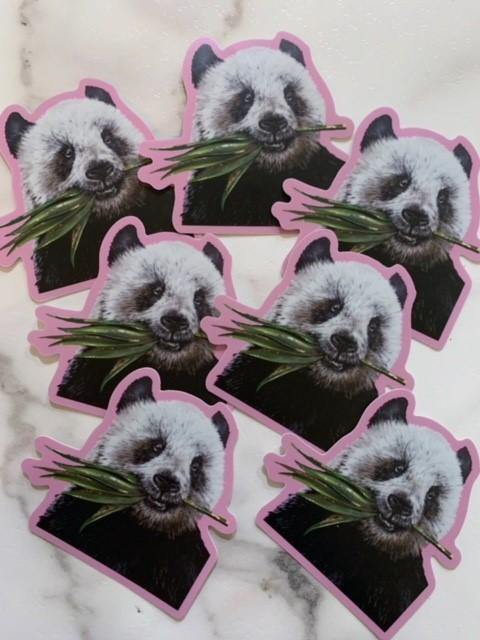 Panda Sticker - Whitney Hayden