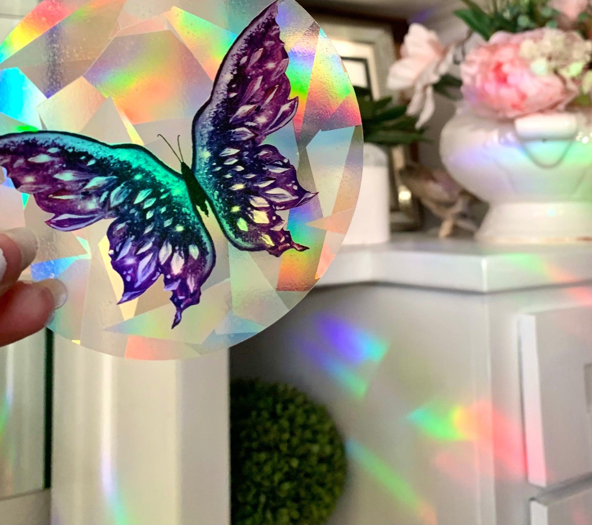 Butterfly Sun-Catchers - Whitney Hayden