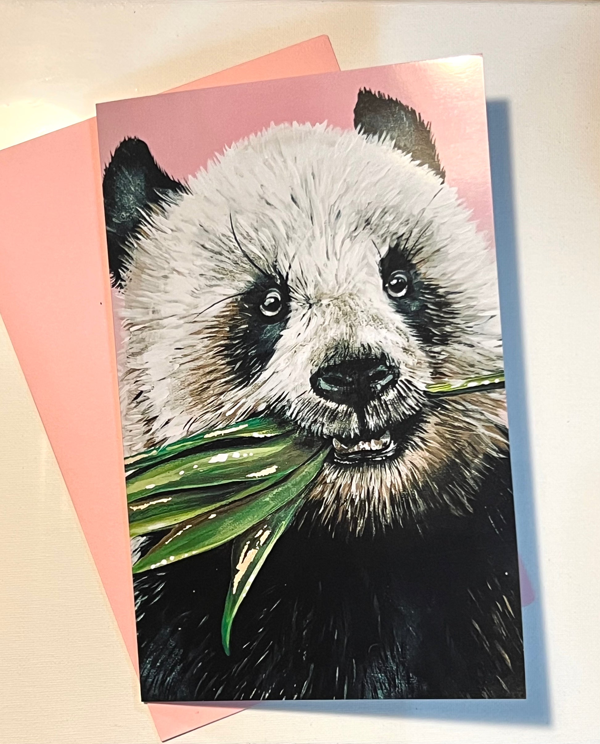 Panda Art Note Card Set - Whitney Hayden
